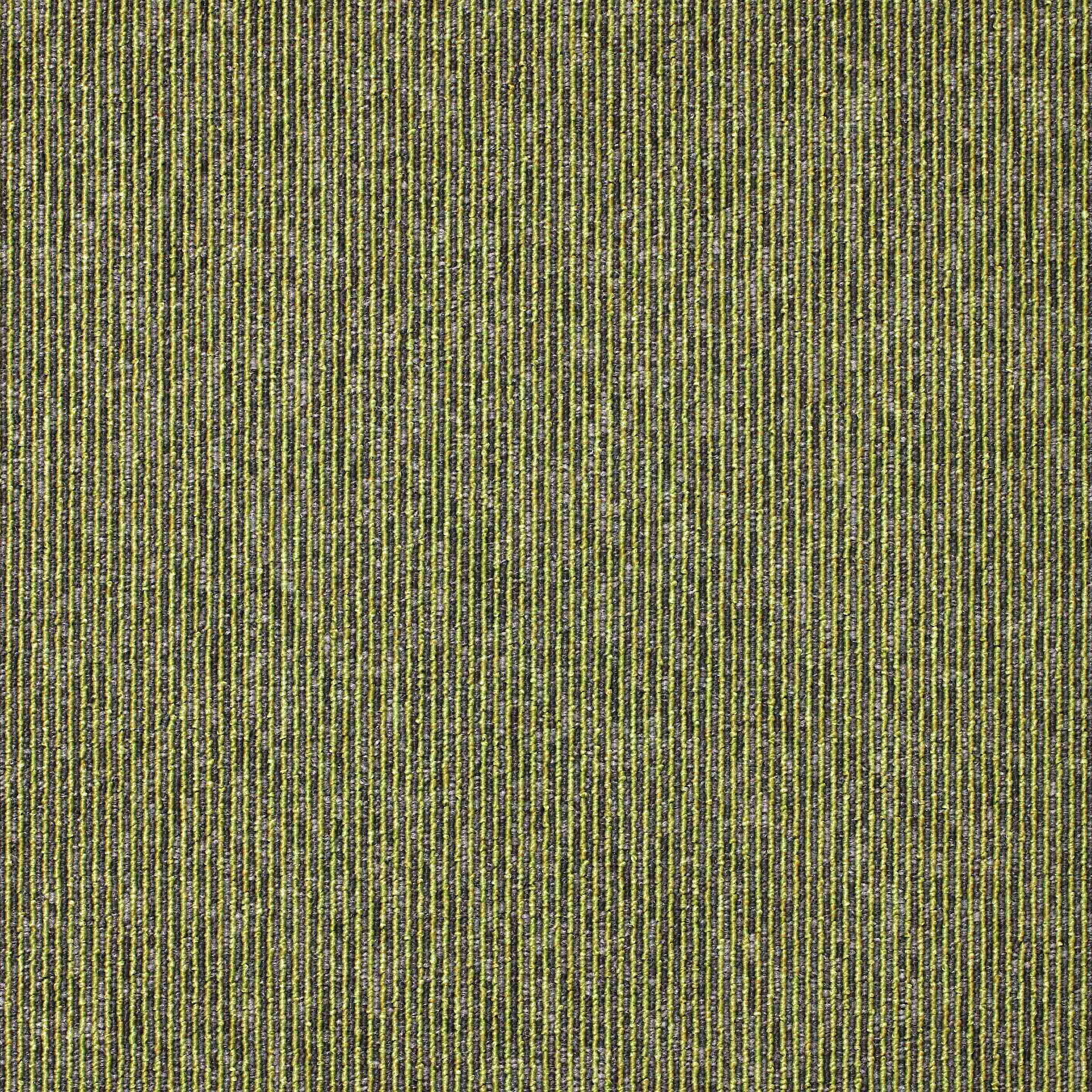 Sirocco Stripe Spearmint jpg