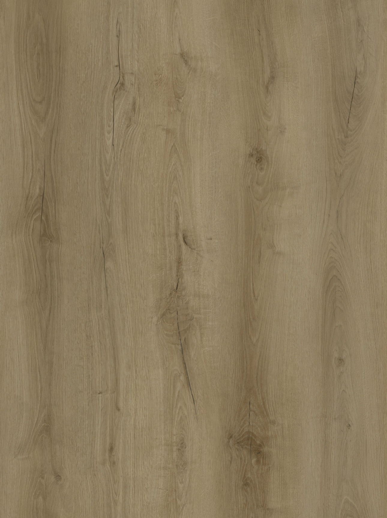 alder oak jpg